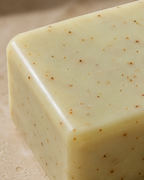 Forest Renewal Soap Bar | Eucalyptus
